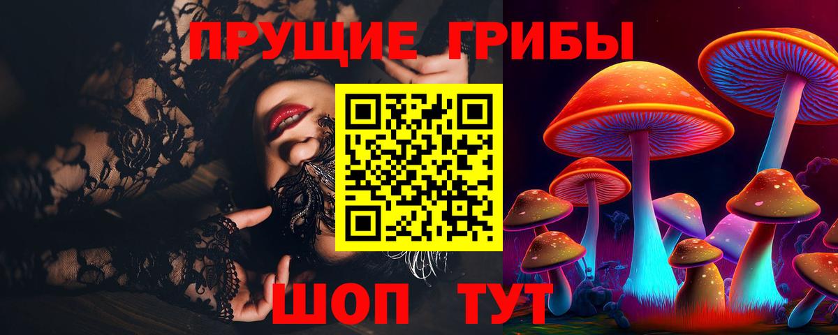 Псилоцибиновые грибы Psilocybe  Вход с VPN  Галлюциногенные грибы мухоморы  Чапаевск 
